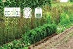 la-gestion-ecologique-des-ravageurs-et-maladies-au-potager-conference