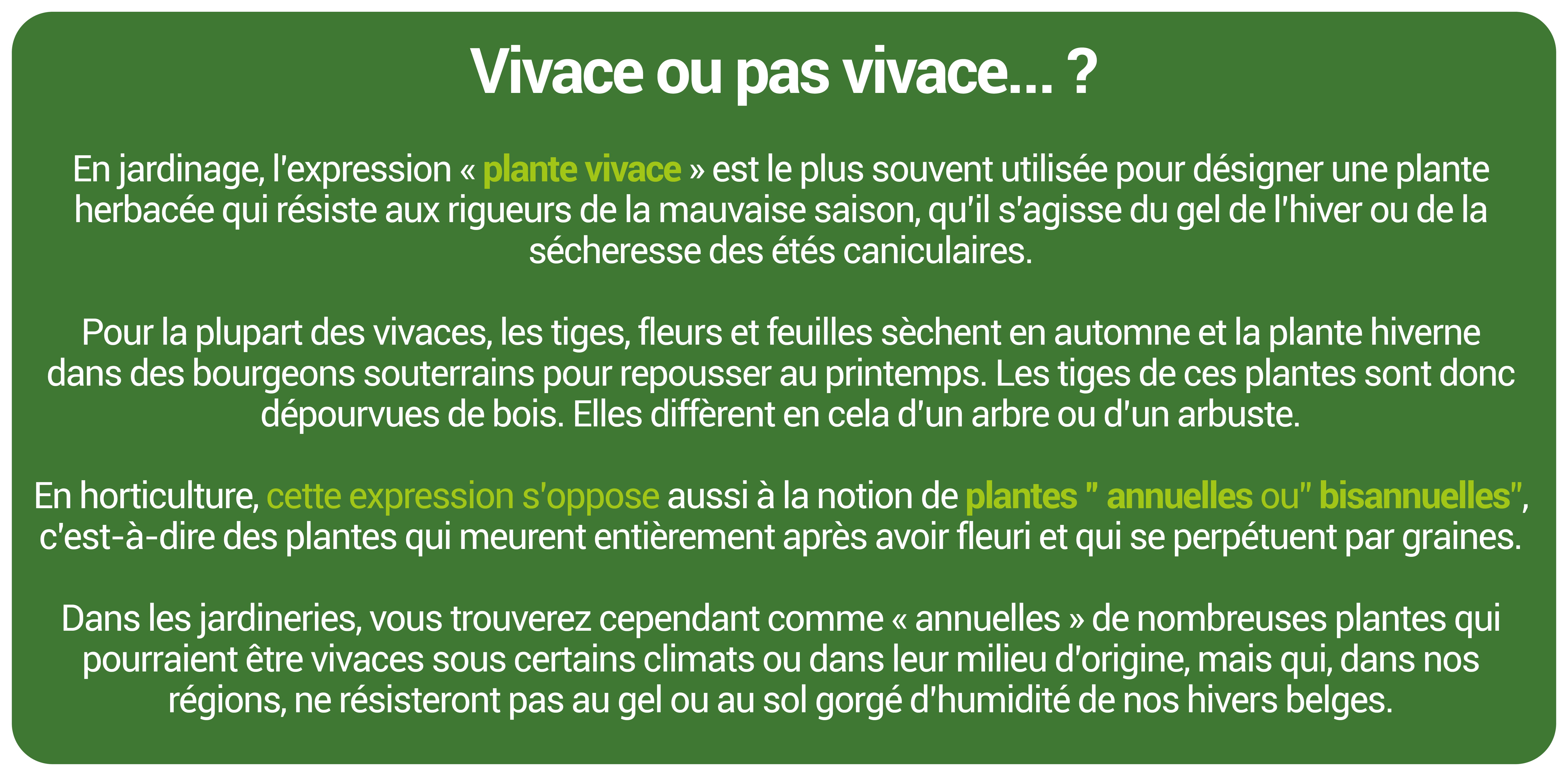 Encart sur les vivaces