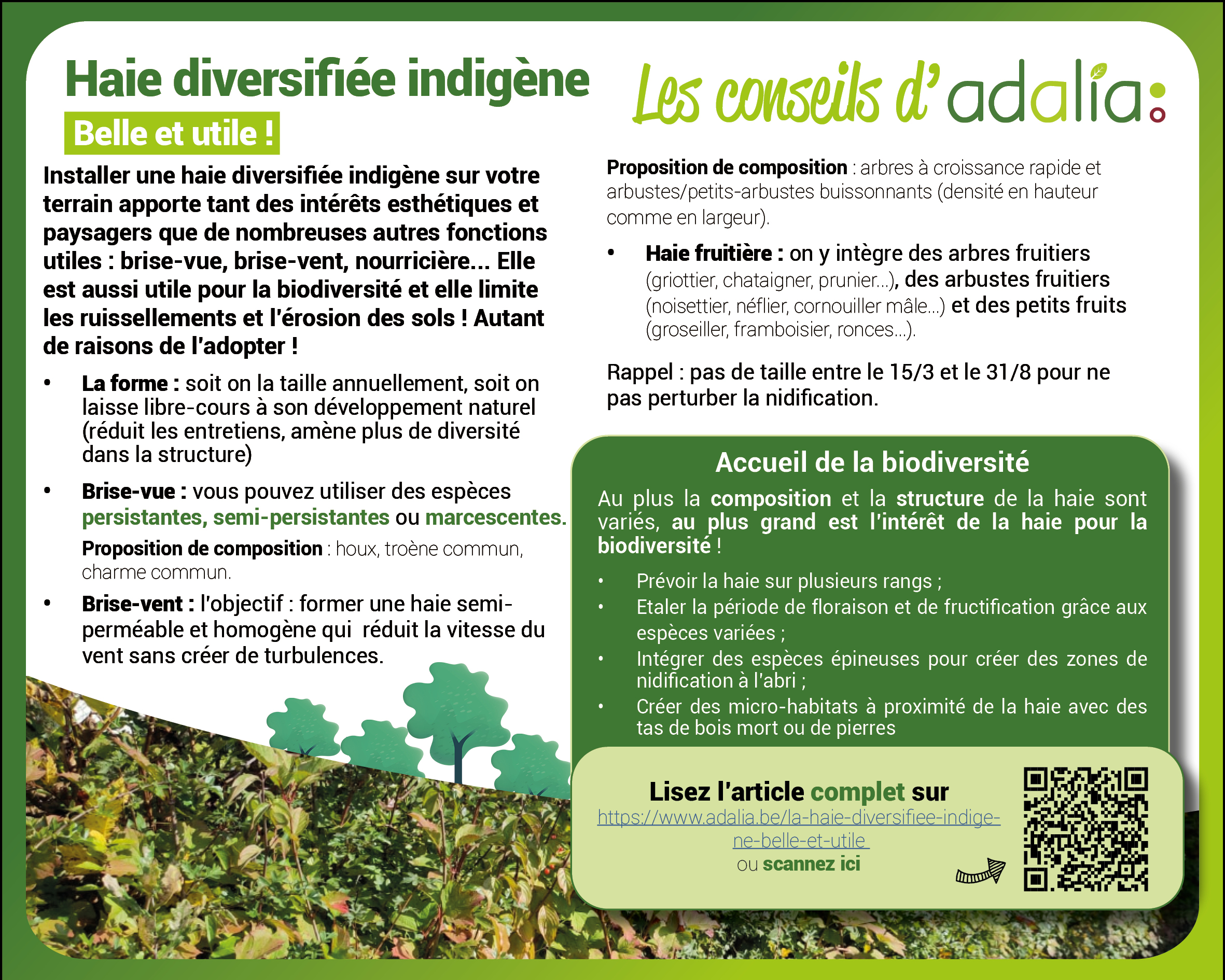 haie-diversifiee-indigene