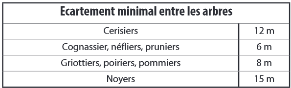 Haie-diversifiee-ecartement-minimal-entre-les-arbres