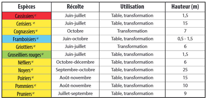 Haie-diversifiee-especes