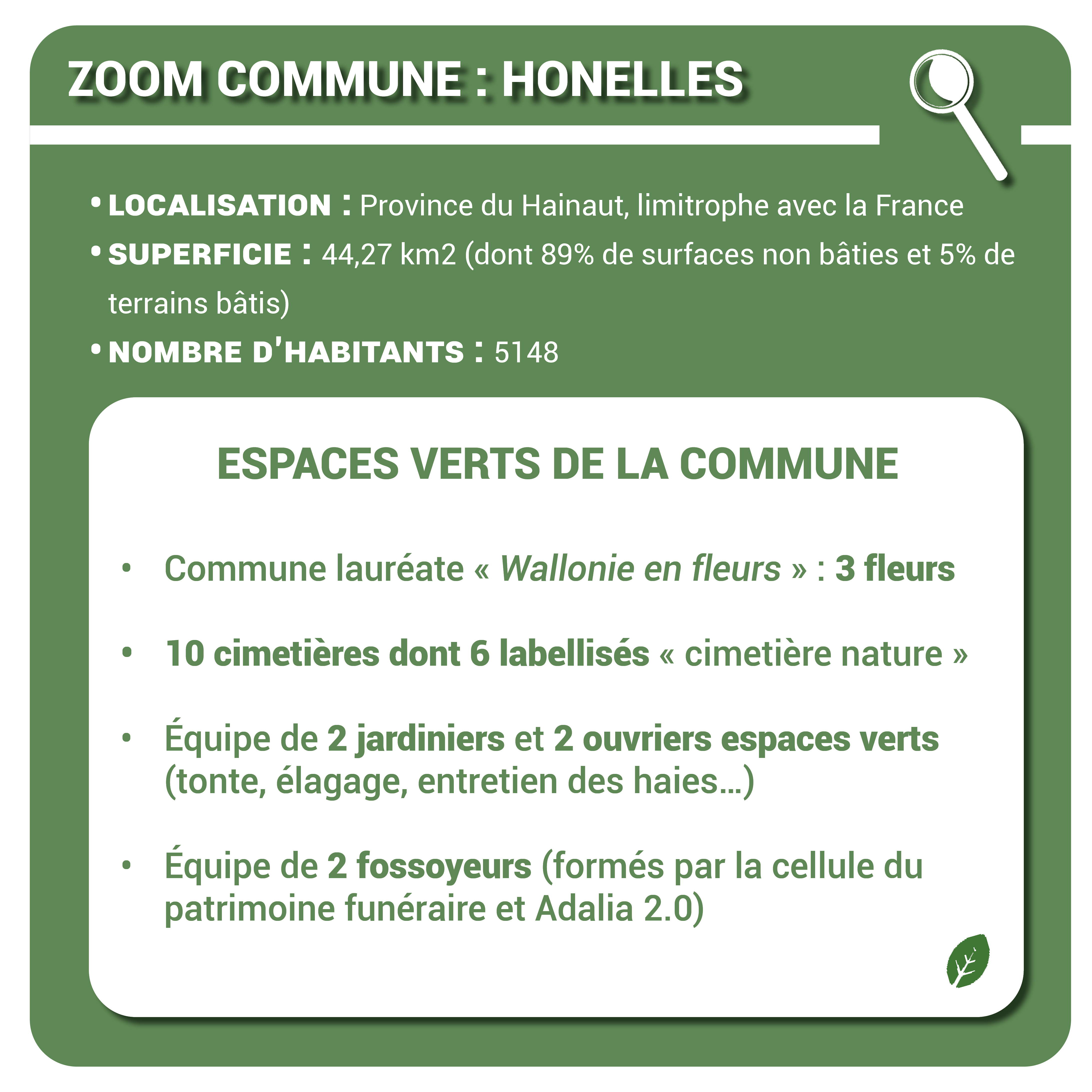 Adalia_Zoom_commune_Honelles