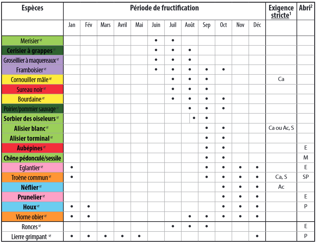 haie-diversifiée-calendrier-de-plantations