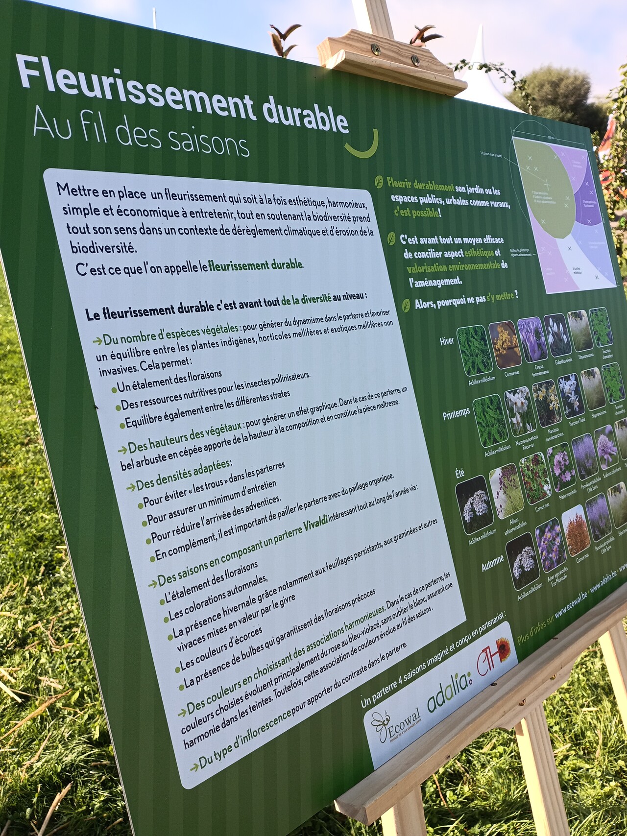 Fleurissement durable au fil des saisons