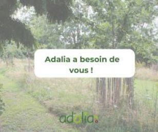 Adalia 2.0 a besoin de vous !