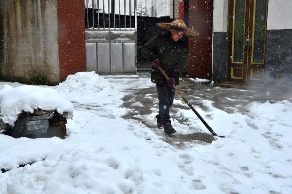 Sel de déneigement : quels sont les dangers pour l'environnement ?